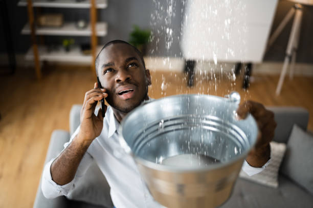 Best Flood restoration services  in Muhlenberg Rk, PA