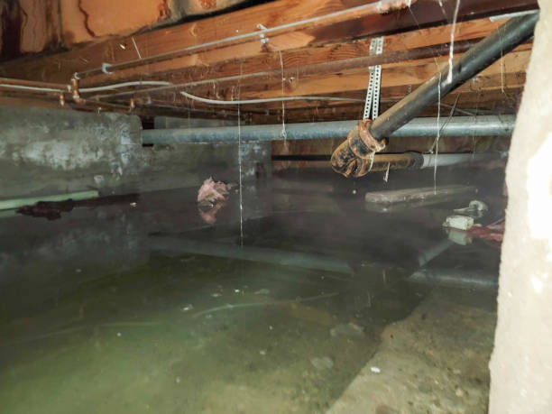 Fire Damage Restoration in Muhlenberg Park, PA