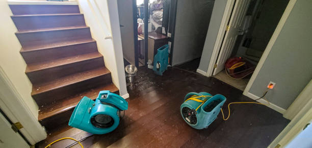 Best Mold removal after water damage  in Muhlenberg Rk, PA