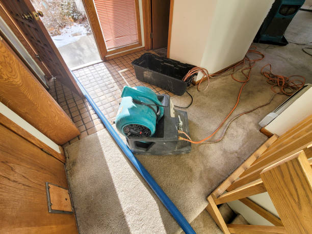 Professional Water damage restoration in Muhlenberg Park, PA