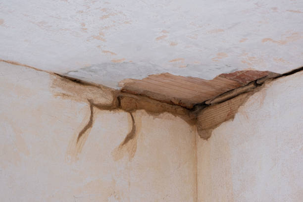 Best Flood damage cleanup  in Muhlenberg Rk, PA
