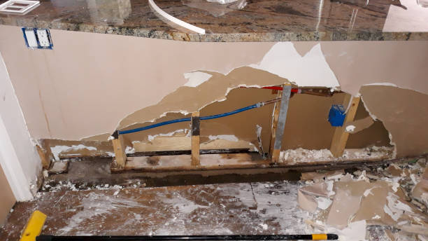 Best Ceiling water damage repair  in Muhlenberg Rk, PA