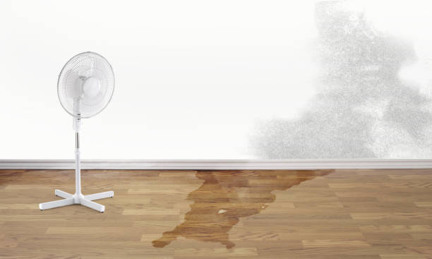 Best Water damage restoration near me  in Muhlenberg Rk, PA