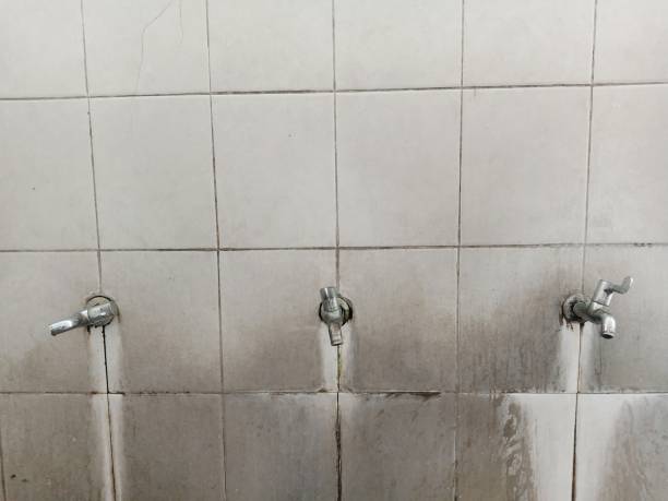 Best Basement water damage restoration  in Muhlenberg Rk, PA