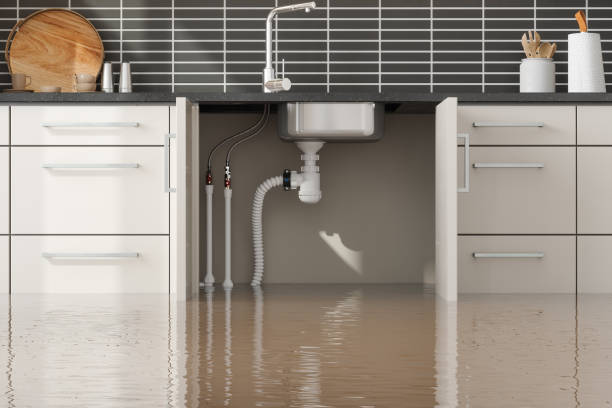 Best 24/7 water damage repair  in Muhlenberg Rk, PA