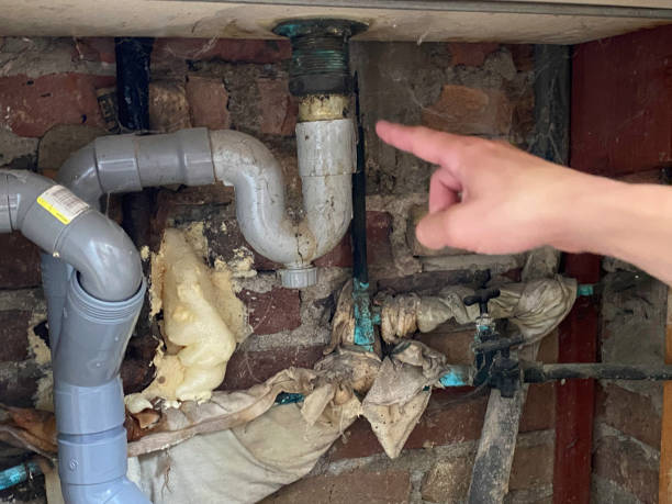 Best Water damage restoration specialists  in Muhlenberg Rk, PA