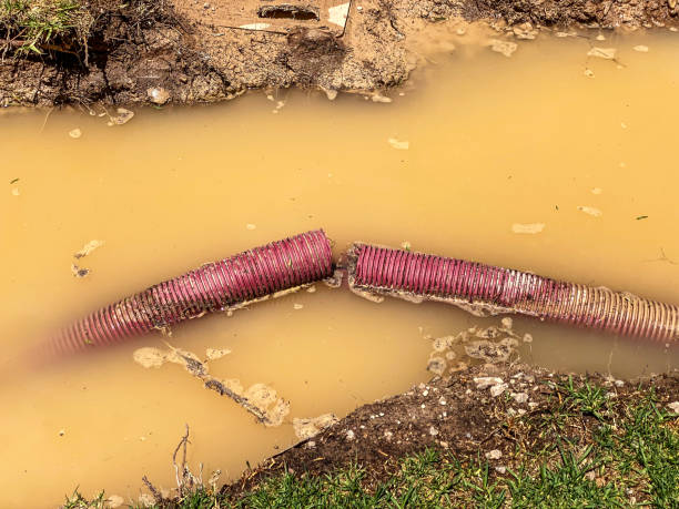 Best Emergency water damage restoration  in Muhlenberg Rk, PA