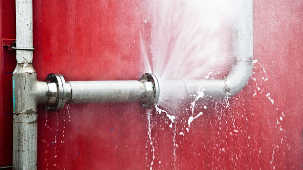 Best Water damage restoration near me  in Muhlenberg Rk, PA