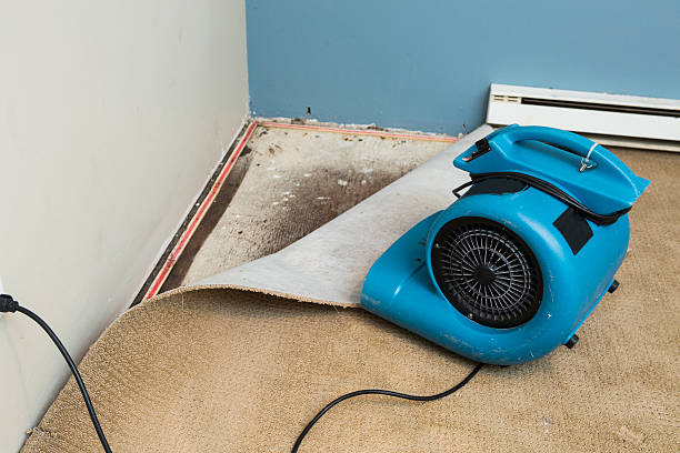 Best Local water damage restoration  in Muhlenberg Rk, PA